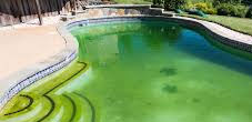 Book Pool Green to Clean Service